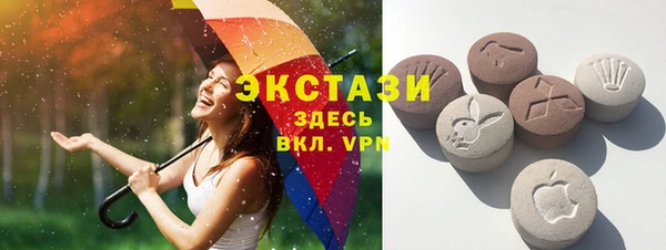 мдпв Богородск