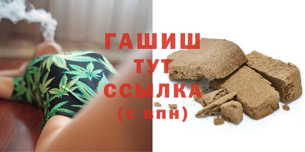 мдпв Богородск
